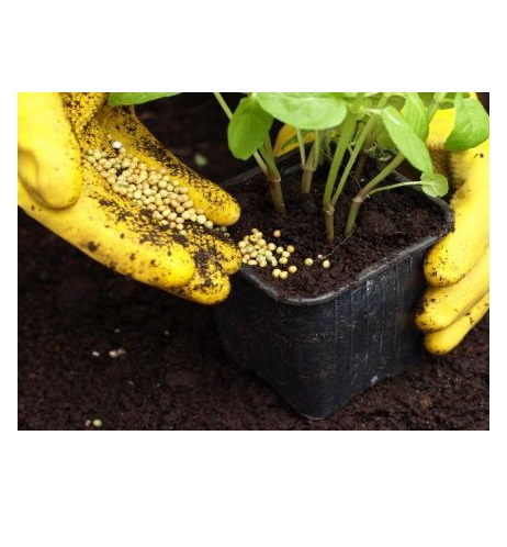 fertilizantes-para-el-jardin