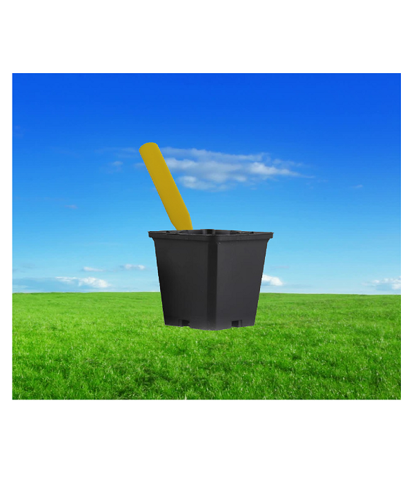 AMARILLO