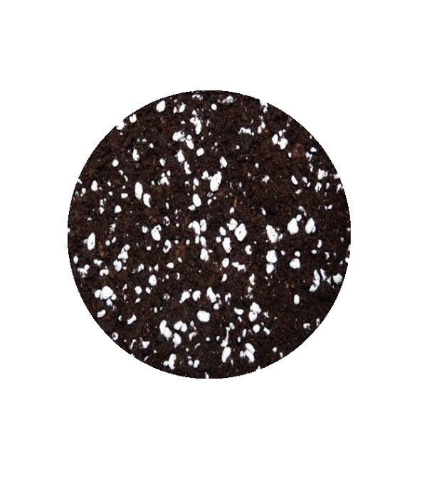D_NQ_NP_649209-MPE43652926714_102020-O