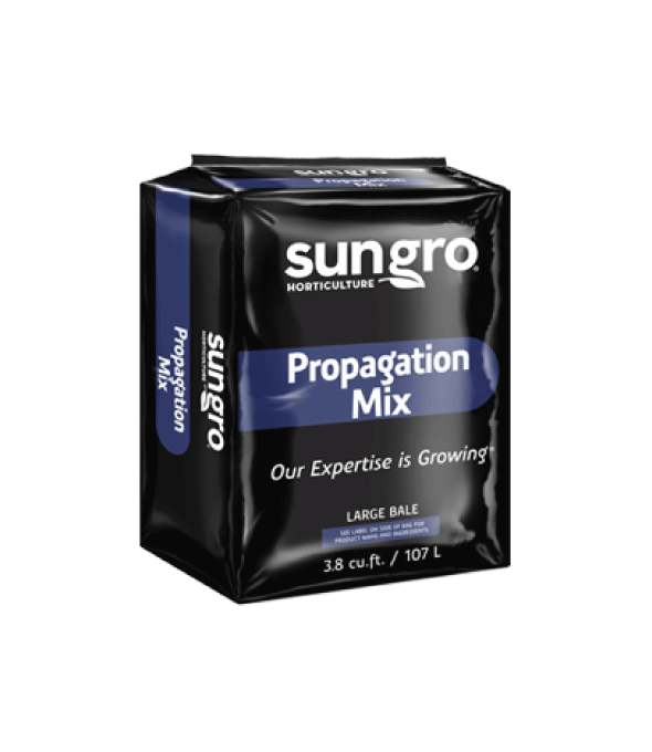 Sungro #5