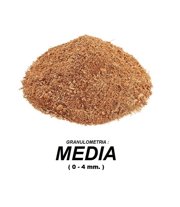 COCO MEDIA - 0 - 4 MM
